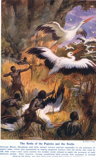 Battaglia dei Pigmei e delle cicogne, illustrazione da 